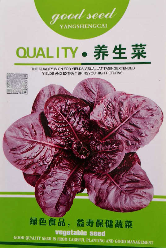 Yangshengcai——Purplish Red Healthy Vegetable